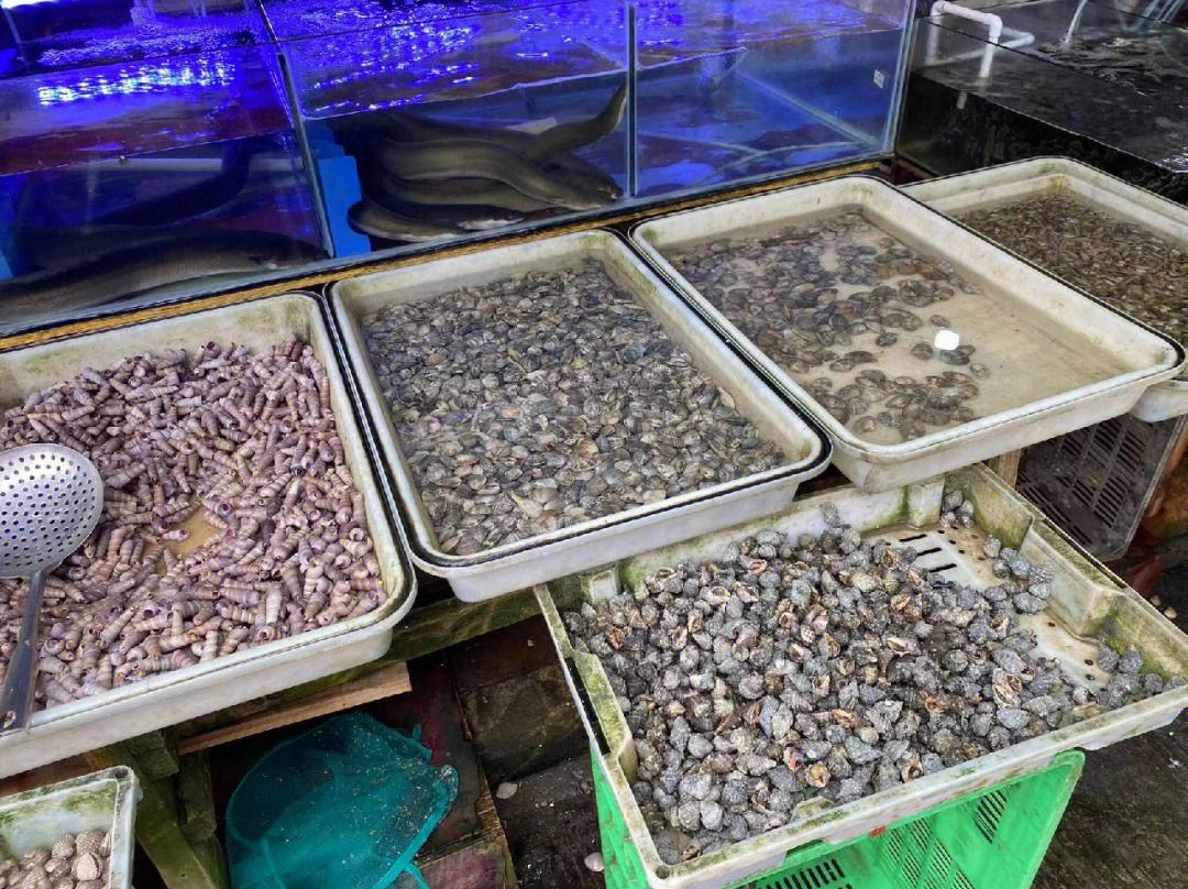 海鲜废水处理工程